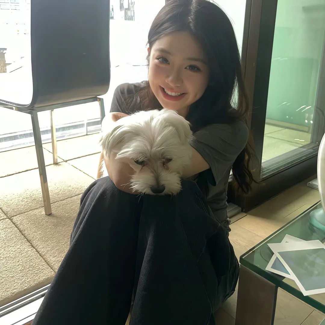 藏獒多吉